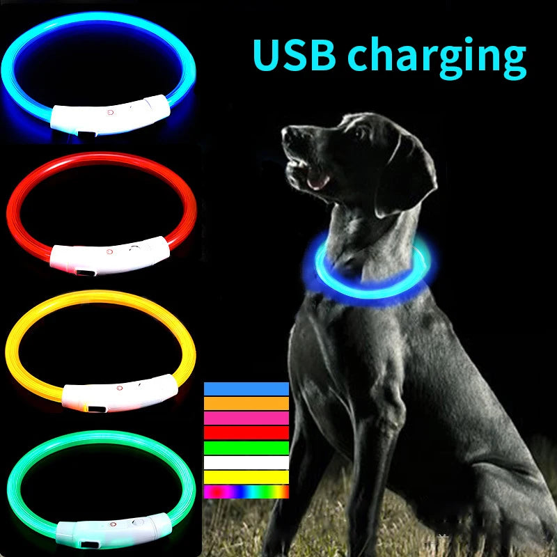 NightGlow™ LED Dog Collar