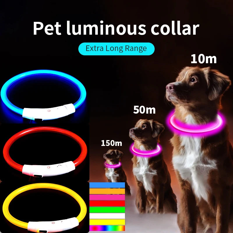 NightGlow™ LED Dog Collar