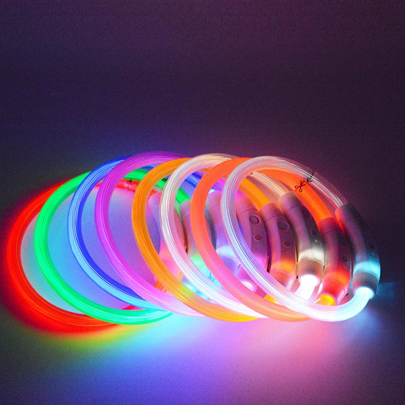 NightGlow™ LED Dog Collar