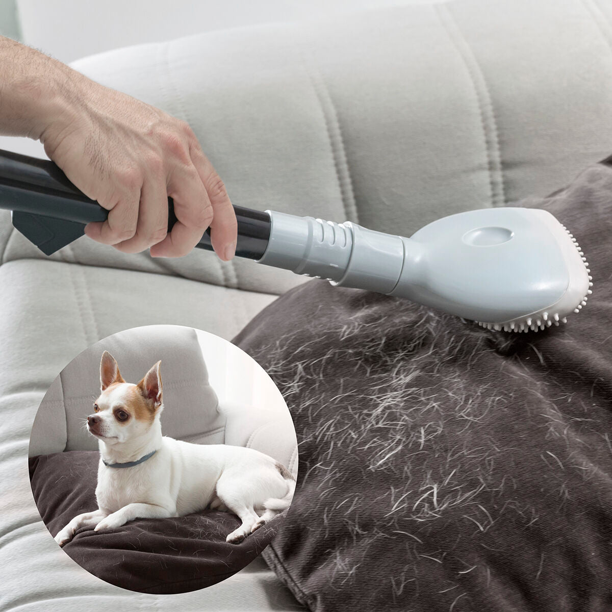 PetNest™ Fur Remover Brush - Remove Pet Hair in Seconds